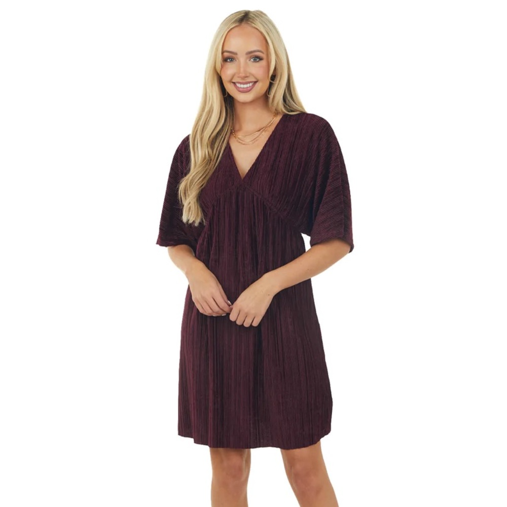 Wine V-Neck Ribbed Velvet Short Dress